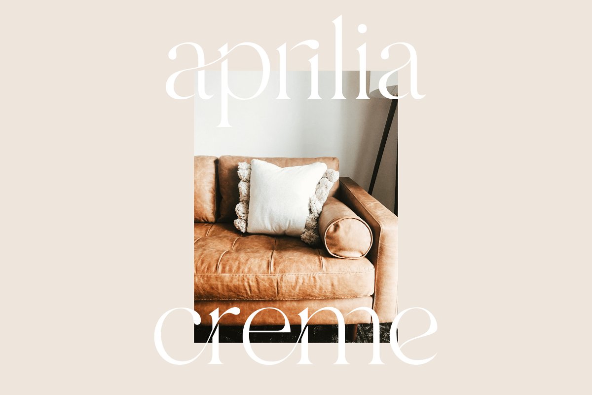 Branch Modern Ligature Serif Font Free Download OpFonts